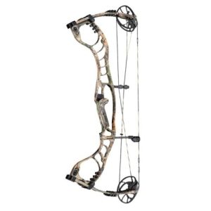 Hoyt compound bow