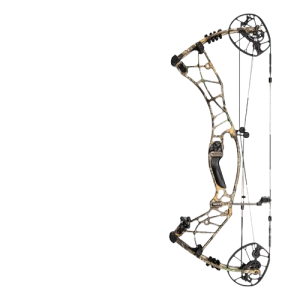 hoyt axius bow